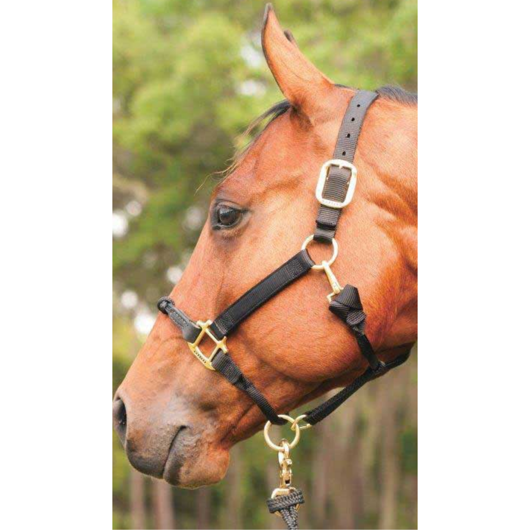 Weaver Leather Black Nylon Foal Halter