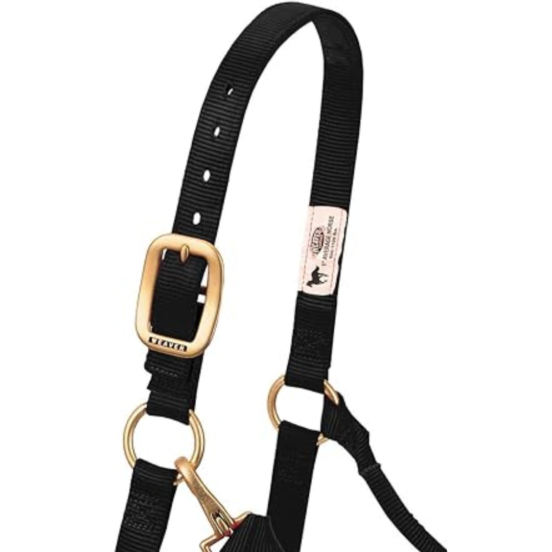 Weaver Leather Black Non-Adjustable Nylon Halter 1"- Small Horse
