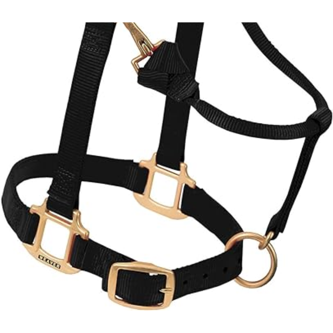 Weaver Leather Black Non-Adjustable Nylon Halter 1"- Small Horse