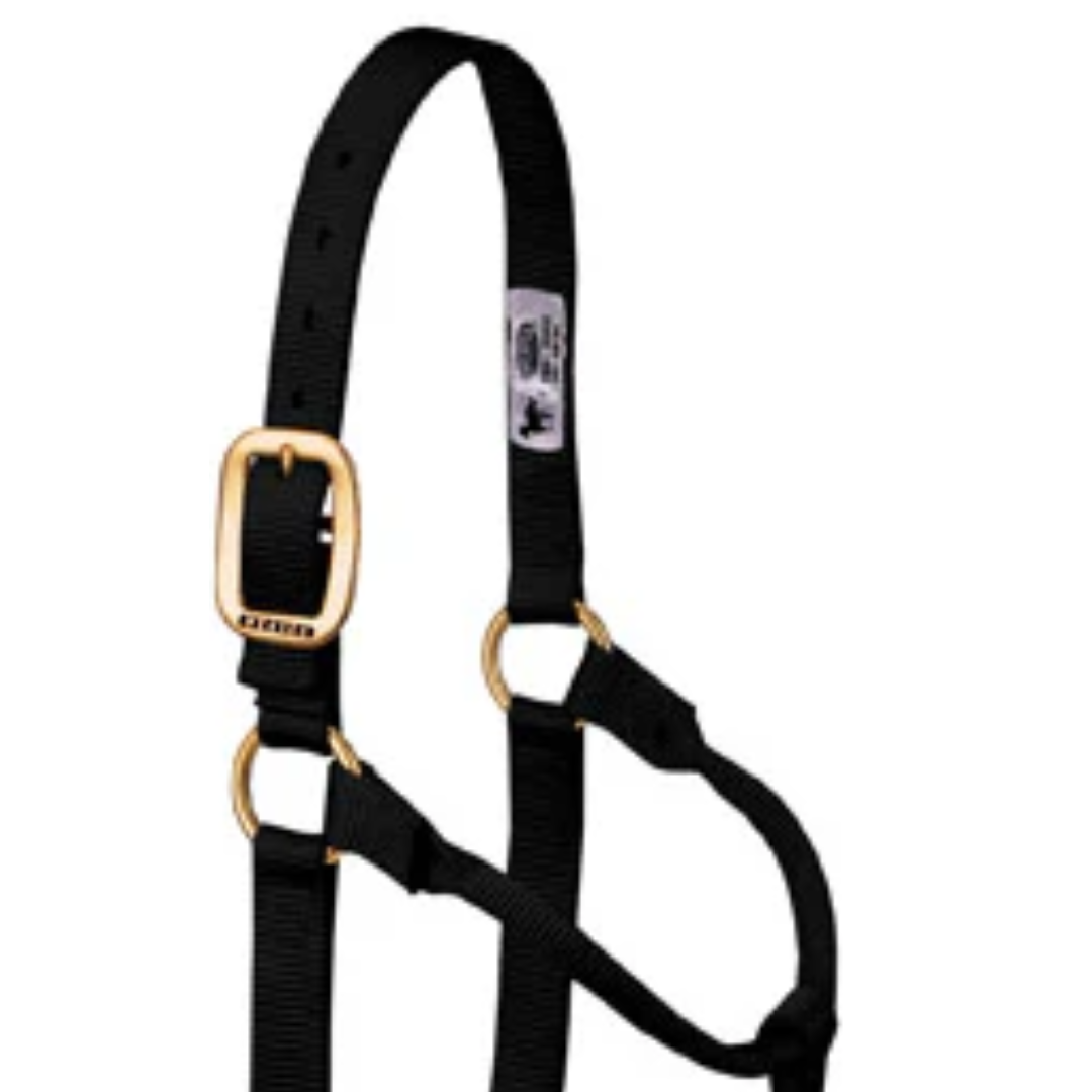 Weaver Leather Large Nylon Horse Halter