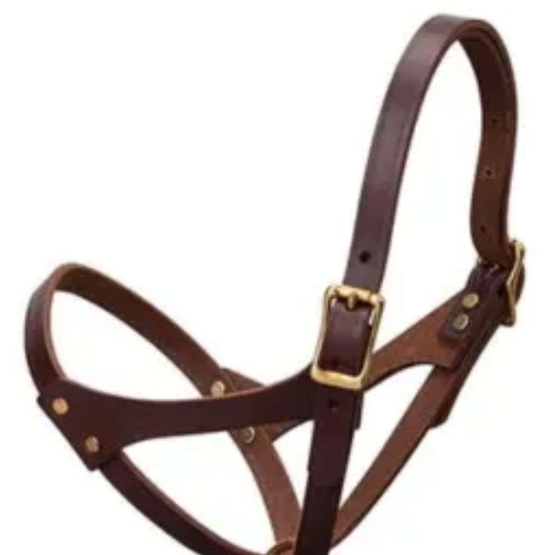 Weaver Leather Figure 8 Foal Halter with Leather Lead Rope