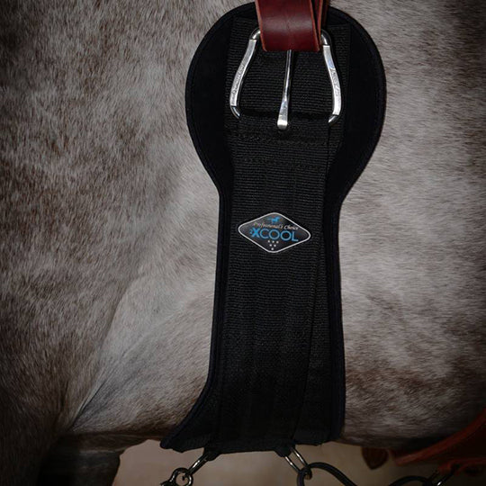 Professional's Choice 2XCool Cinch- Black