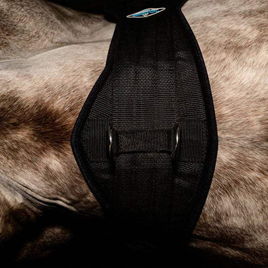 Professional's Choice 2XCool Cinch- Black