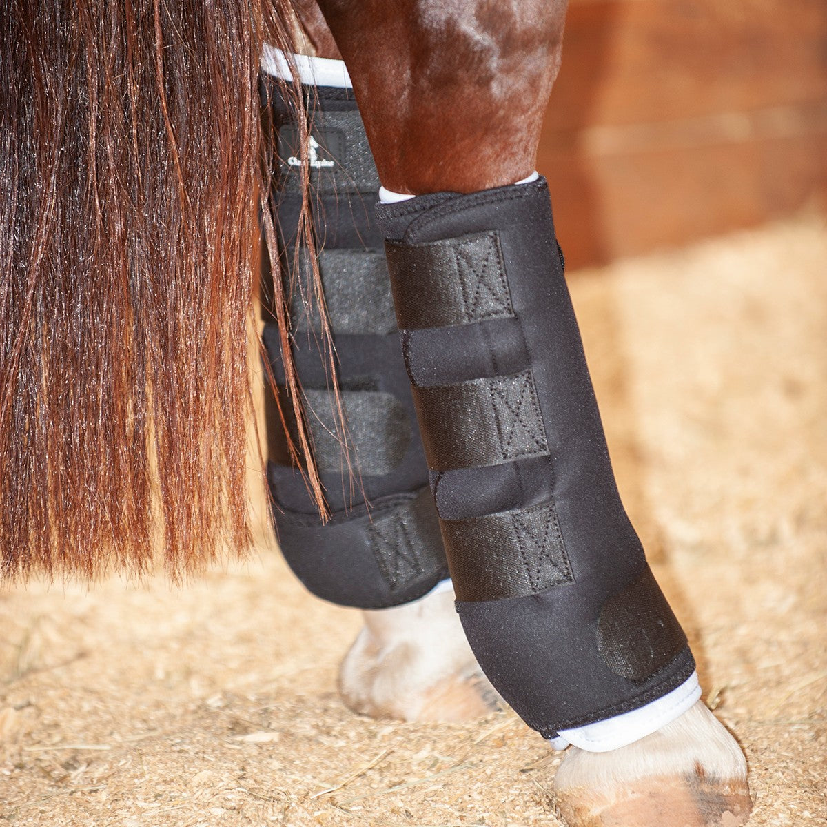 Classic Equine Quick Wraps- Set of 2