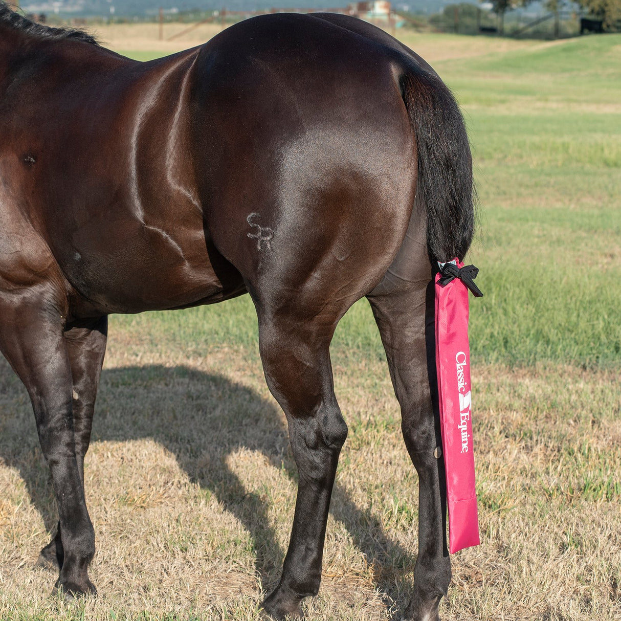 Classic Equine Slick Tail Bag- Hot Pink