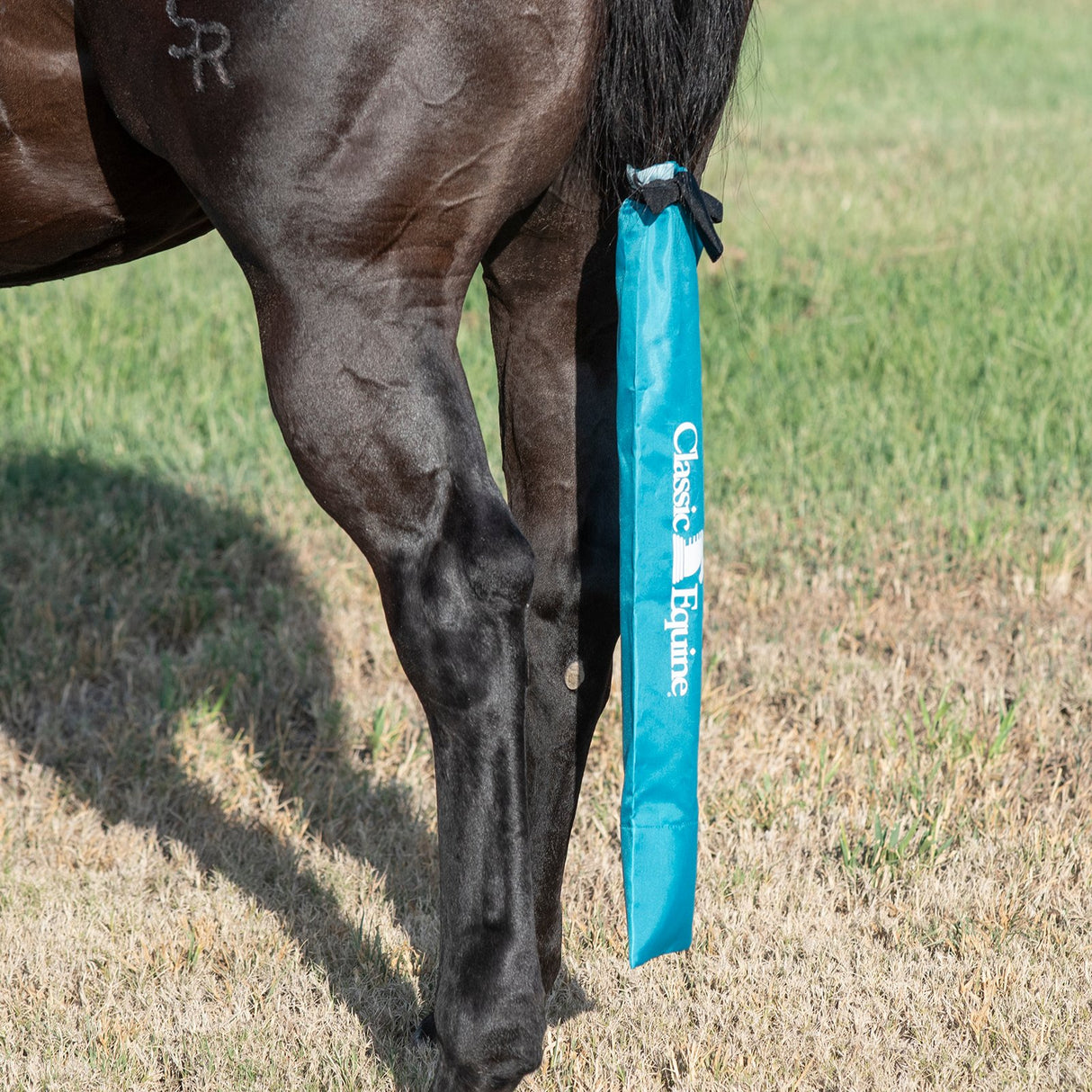 Classic Equine Slick Tail Bag- Teal Green