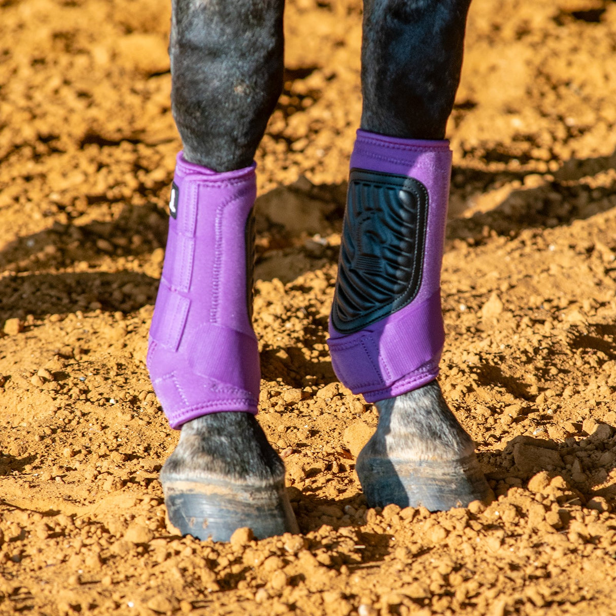 Classic Equine Classic Fit Front and Hind Boot Combo Pack- Violet Purple