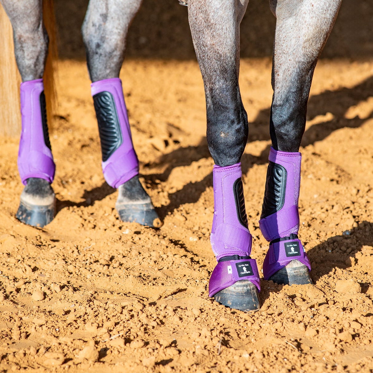 Classic Equine Classic Fit Front, Hind, and Bell Boot Combo Pack- Violet Purple