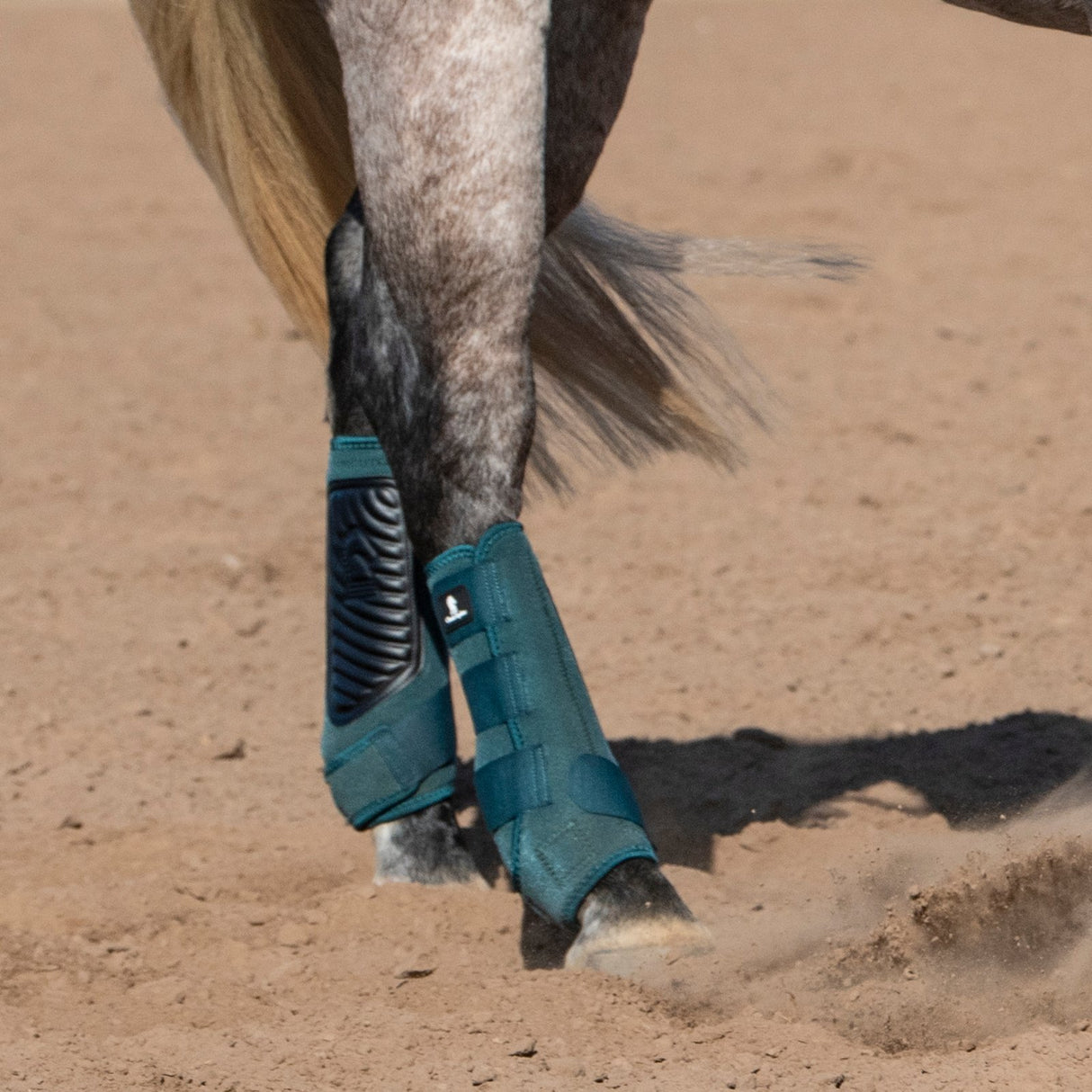 Classic Equine Classic Fit Hind Boots- Dragonfly