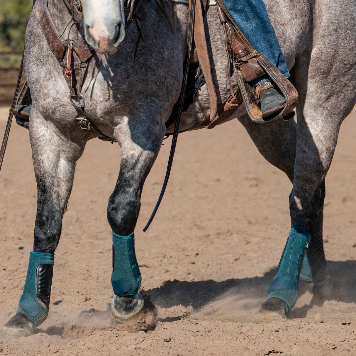 Classic Equine Classic Fit Hind Boots- Dragonfly