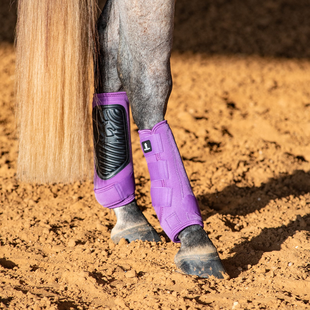 Classic Equine Classic Fit Front and Hind Boot Combo Pack- Violet Purple
