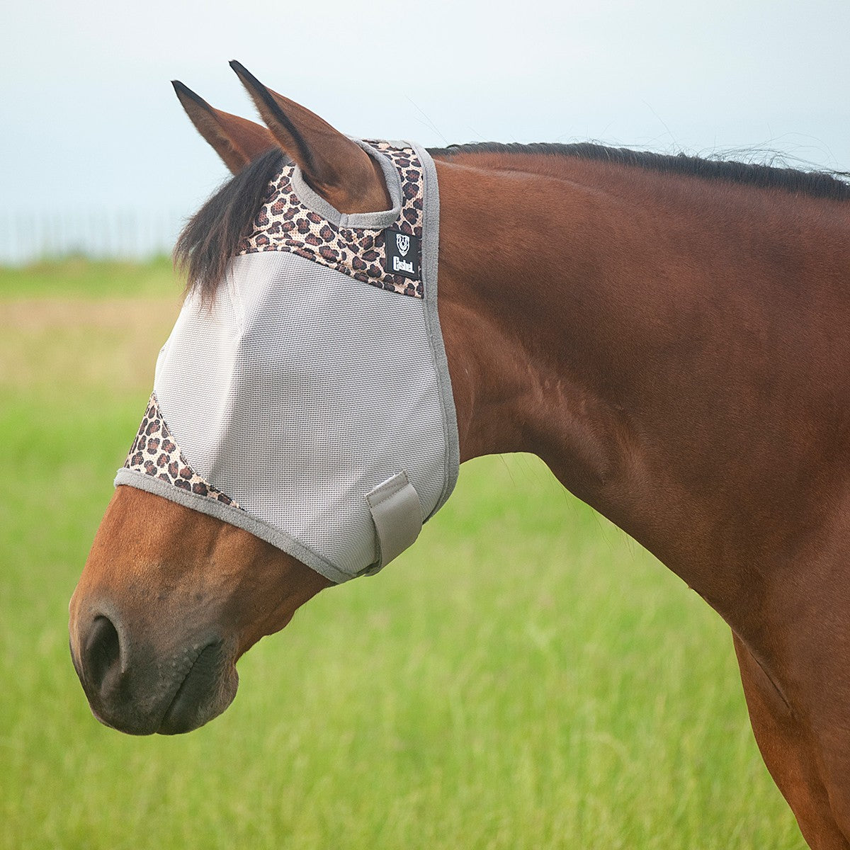Cashel Crusader Average Horse Sized Designer Fly Mask- Leopard