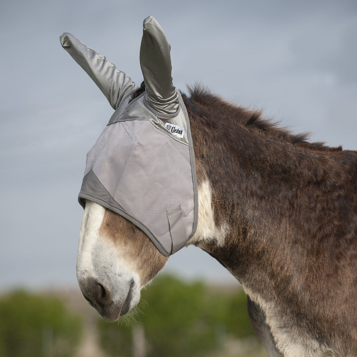 Cashel Crusader Mule/Donkey Fly Mask with Ears