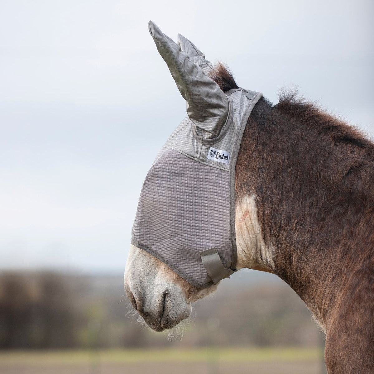 Cashel Crusader Mule/Donkey Fly Mask with Ears
