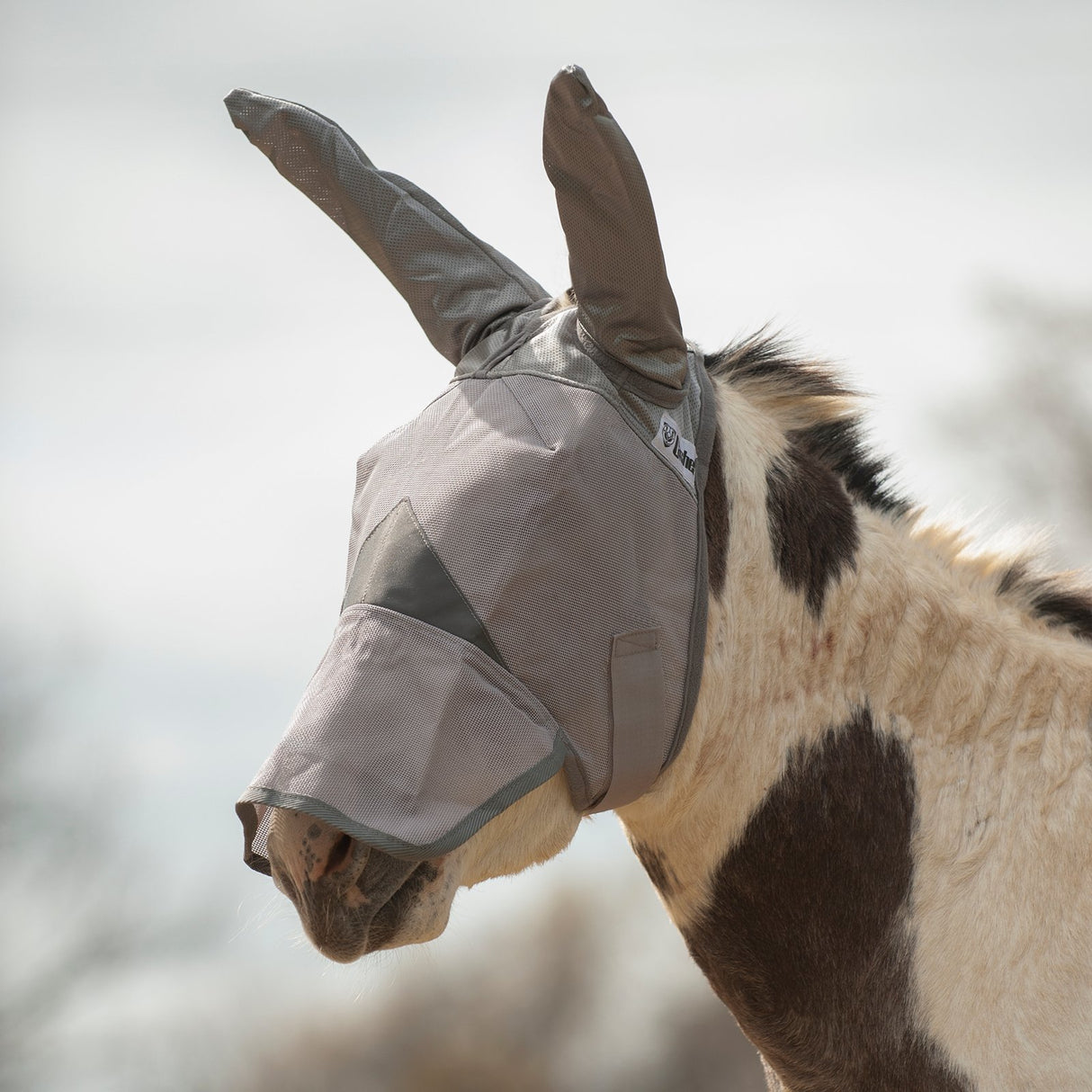 Cashel Crusader Mule/Donkey Long Nose Fly Mask with Ears