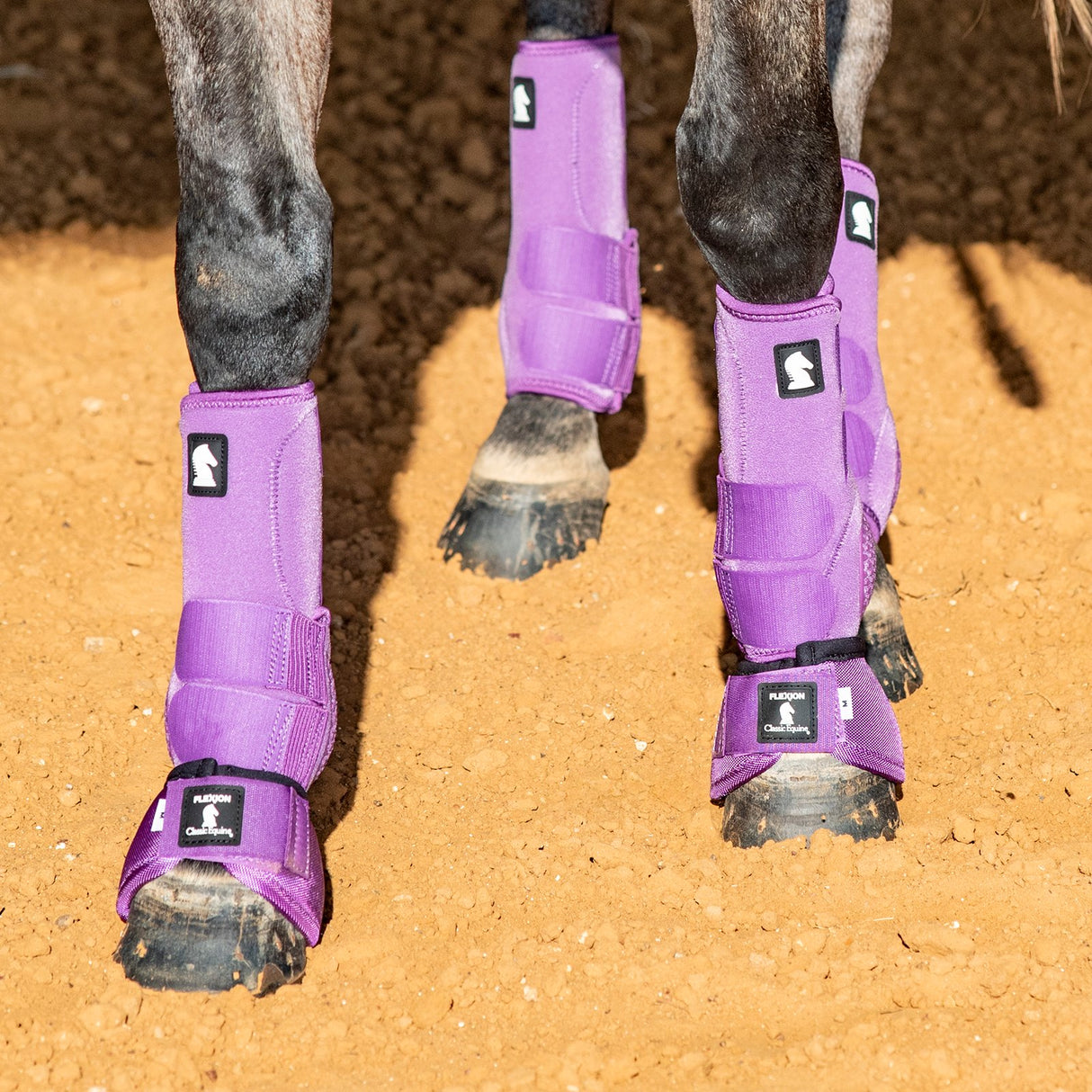 Classic Equine Legacy2 Complete Package, Front, Hind, & Bell Boot Combo Pack- Violet Purple