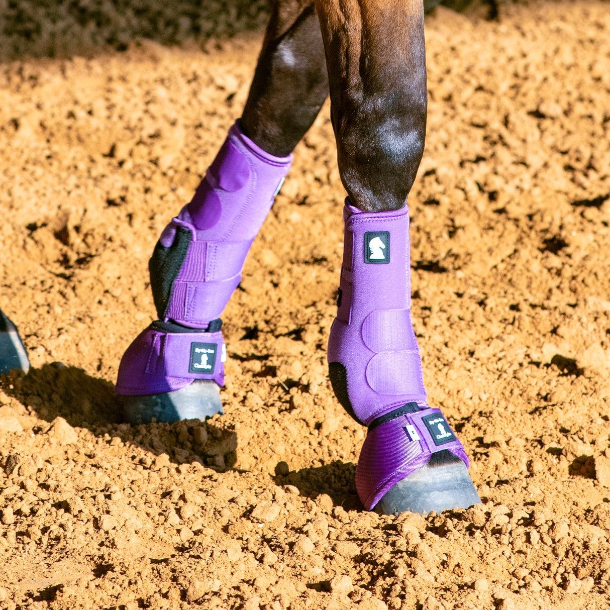 Classic Equine Legacy2 Front and Bell Boots Combo Pack- Violet Purple