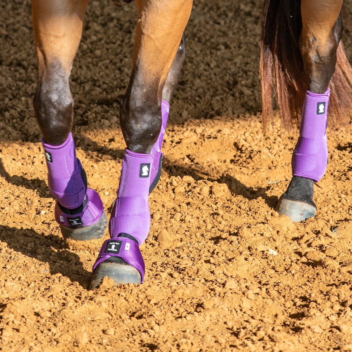 Classic Equine Legacy2 Complete Package, Front, Hind, & Bell Boot Combo Pack- Violet Purple