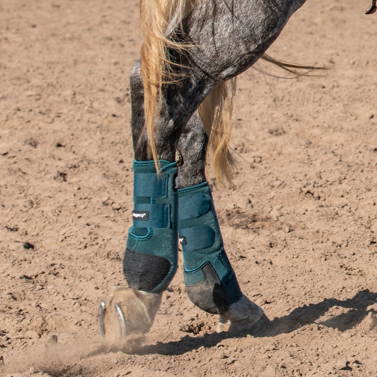 Classic Equine Legacy2 Hind Protective Boots- Dragonfly