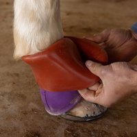 Classic Equine Shoeguard Rubber Pull-On Bell Boot Covers (made to be worn over bell boots)