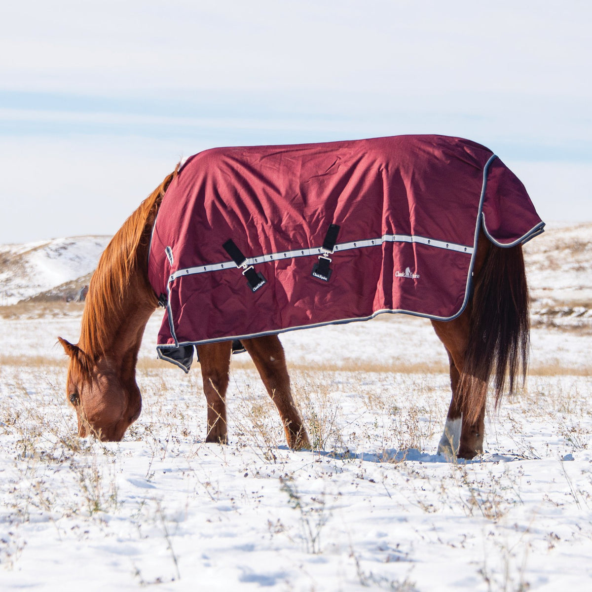 Classic Equine 10K Cross Trainer Turnout Blanket- Port