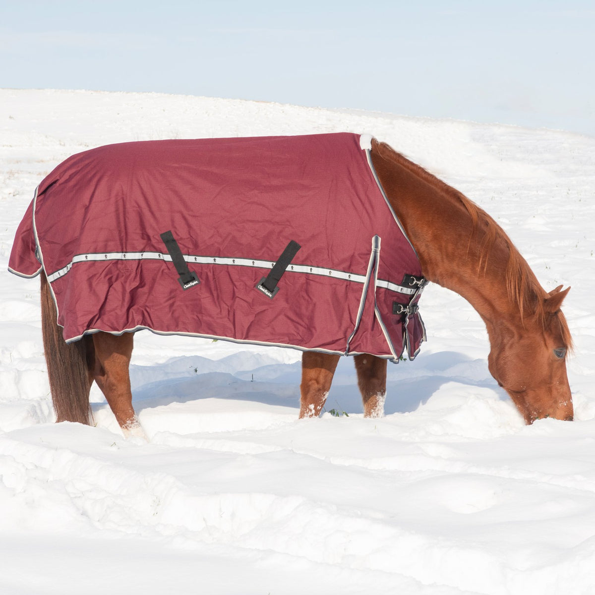Classic Equine 10K Cross Trainer Turnout Blanket- Port