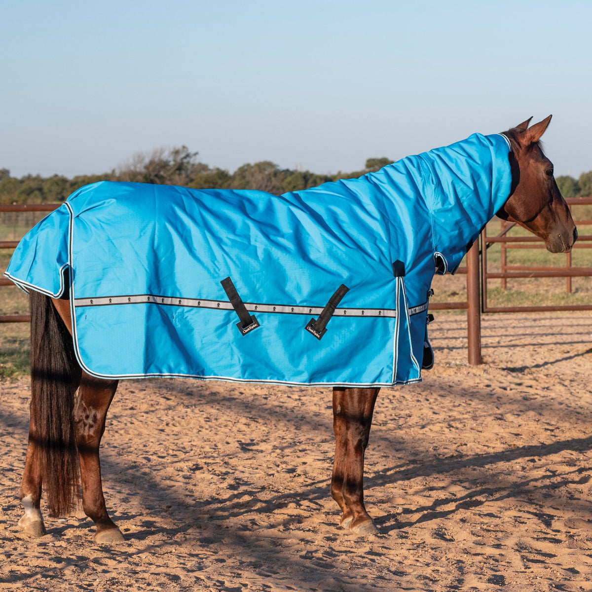 Classic Equine 10K Cross Trainer Turnout Blanket w/ Attached Hood- Aloha Blue