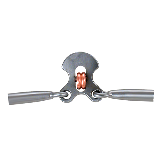 Tom Balding Cody Shank Double Cross Bit with Floral Overlay