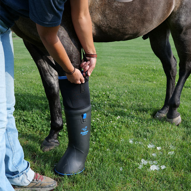 EasyCare Inc. Easyboot Ultimate Remedy Ice Boot