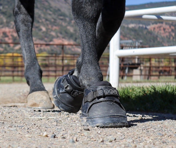 EasyCare Inc. Easyboot Sneaker Hoof Boot- Single