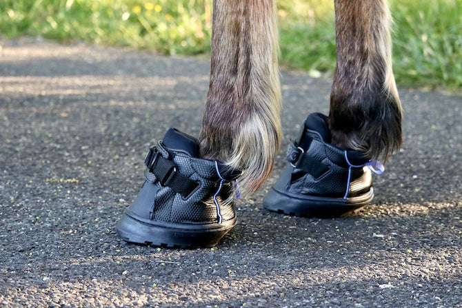 EasyCare Inc. Easyboot Sneaker Hoof Boot- Single