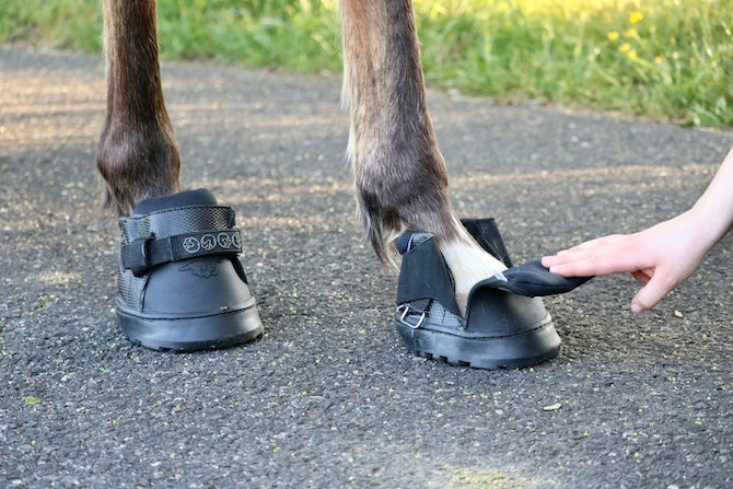 EasyCare Inc. Easyboot Sneaker Hoof Boot- Single