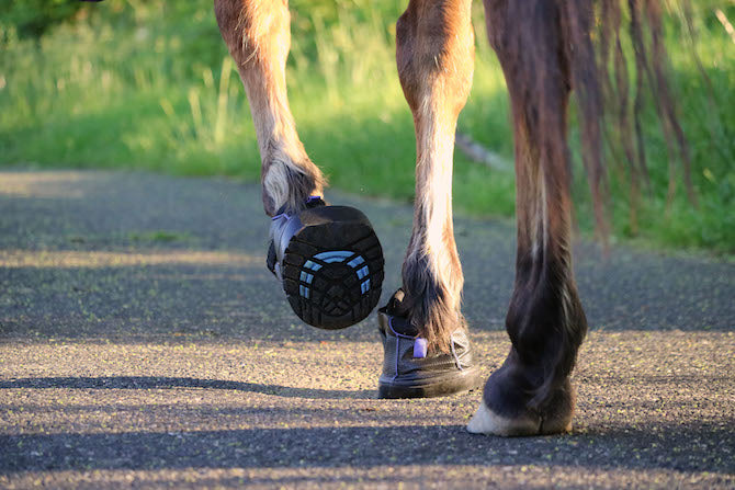 EasyCare Inc. Easyboot Sneaker Hoof Boot- Single