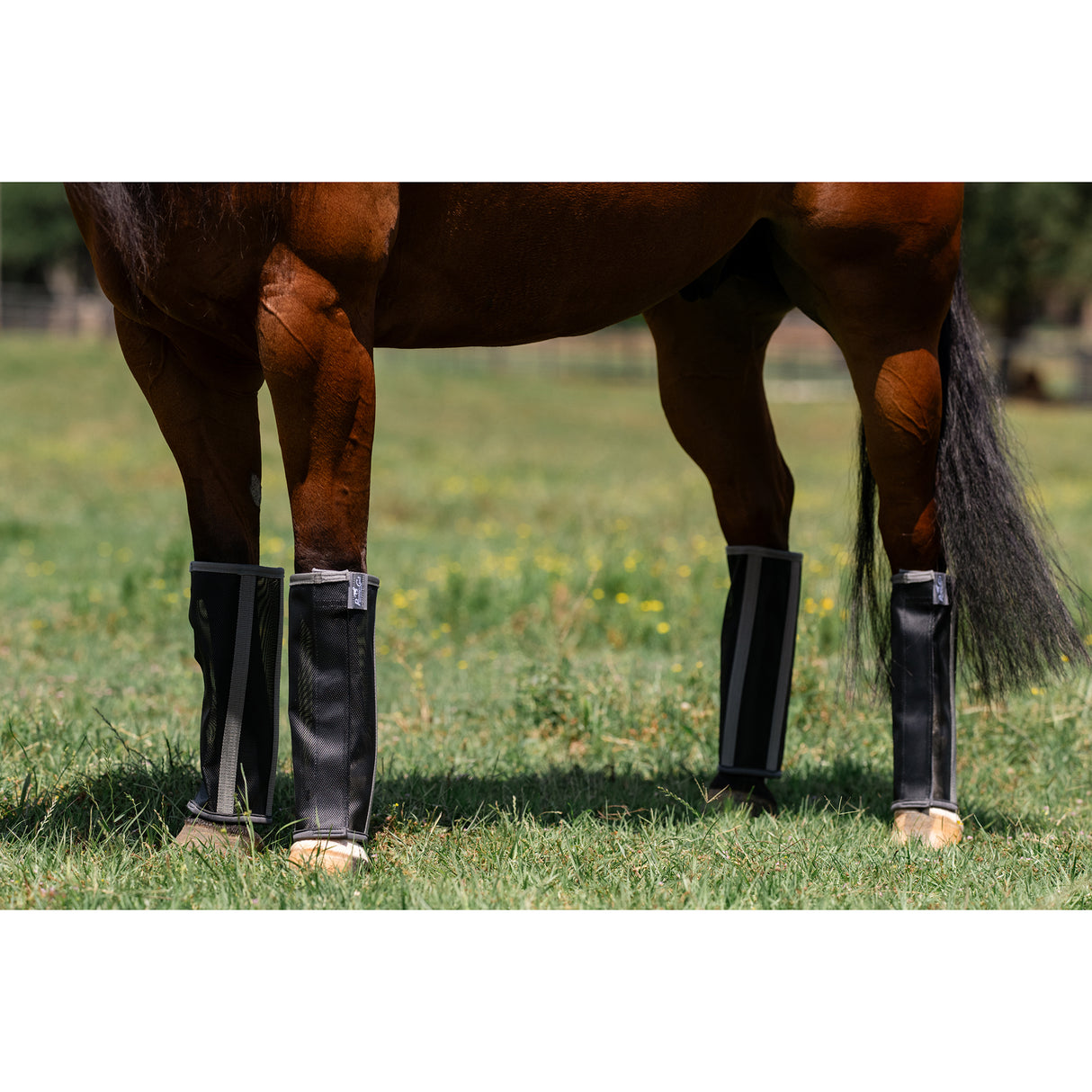 Professional's Choice Deluxe Fly Boots (4 Pack)- Black