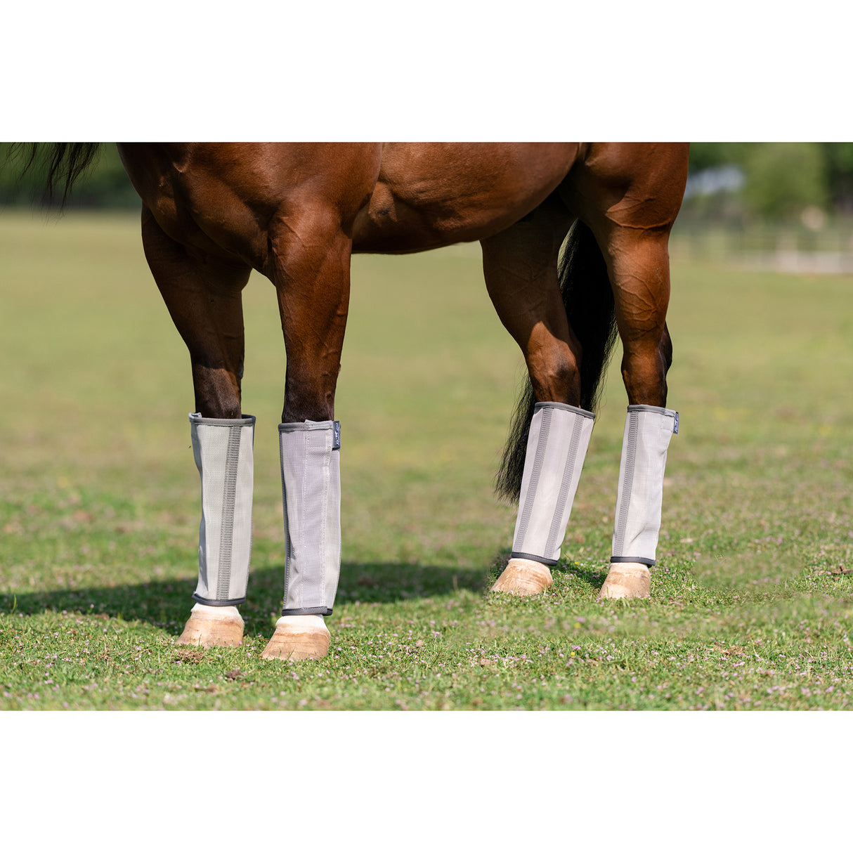 Professional's Choice Deluxe Fly Boots (4 Pack)- Charcoal
