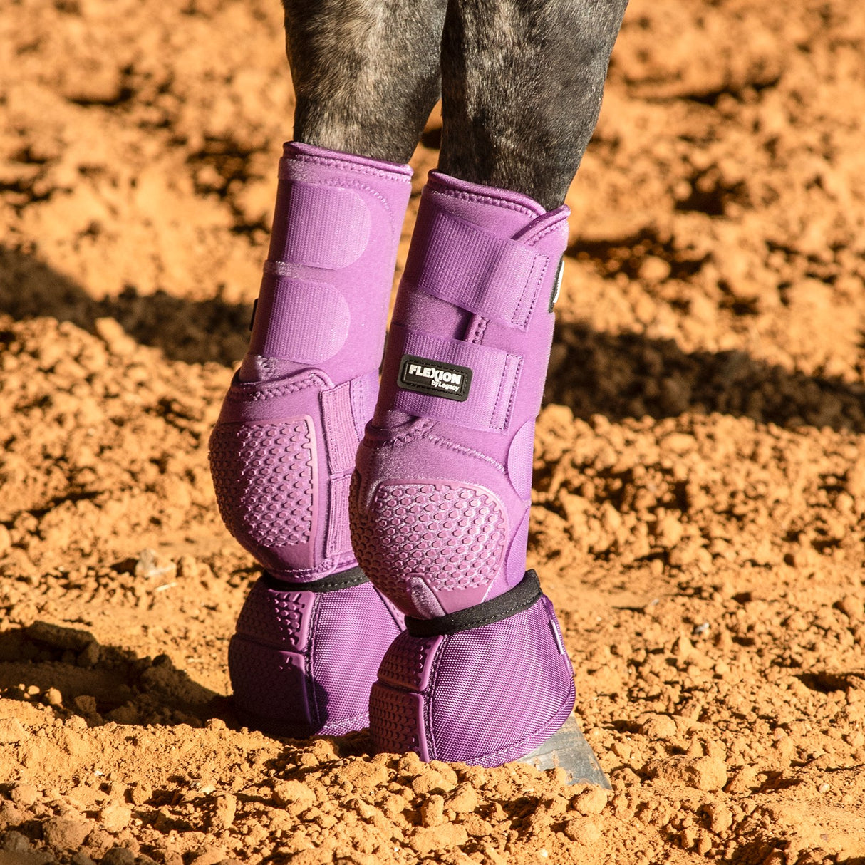 Classic Equine Flexion by Legacy Front Protective Boots- Violet Purple
