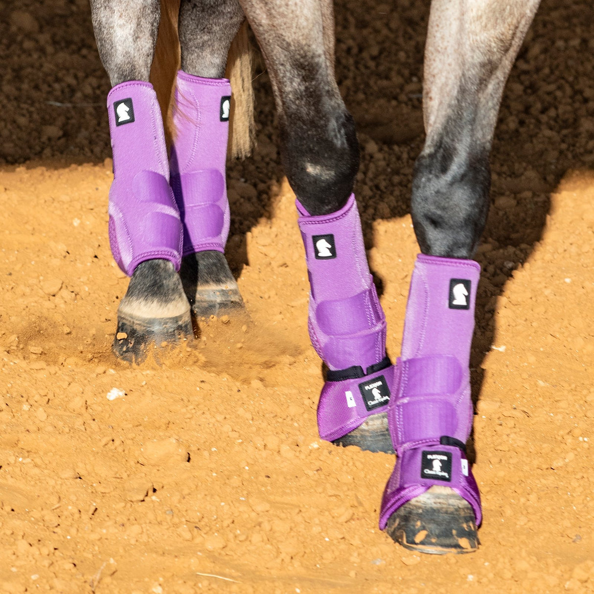 Classic Equine Flexion by Legacy Complete Package, Front, Hind, & Bell Boot Combo Pack- Violet Purple