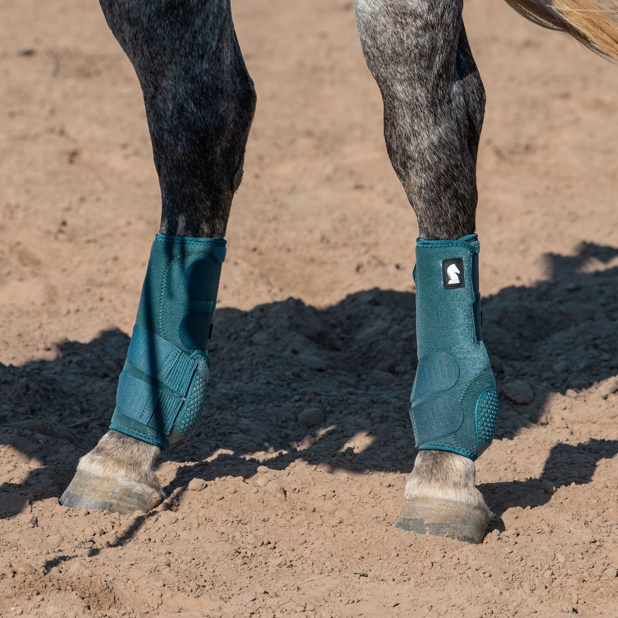 Classic Equine Flexion by Legacy Hind Protective Boots- Dragonfly