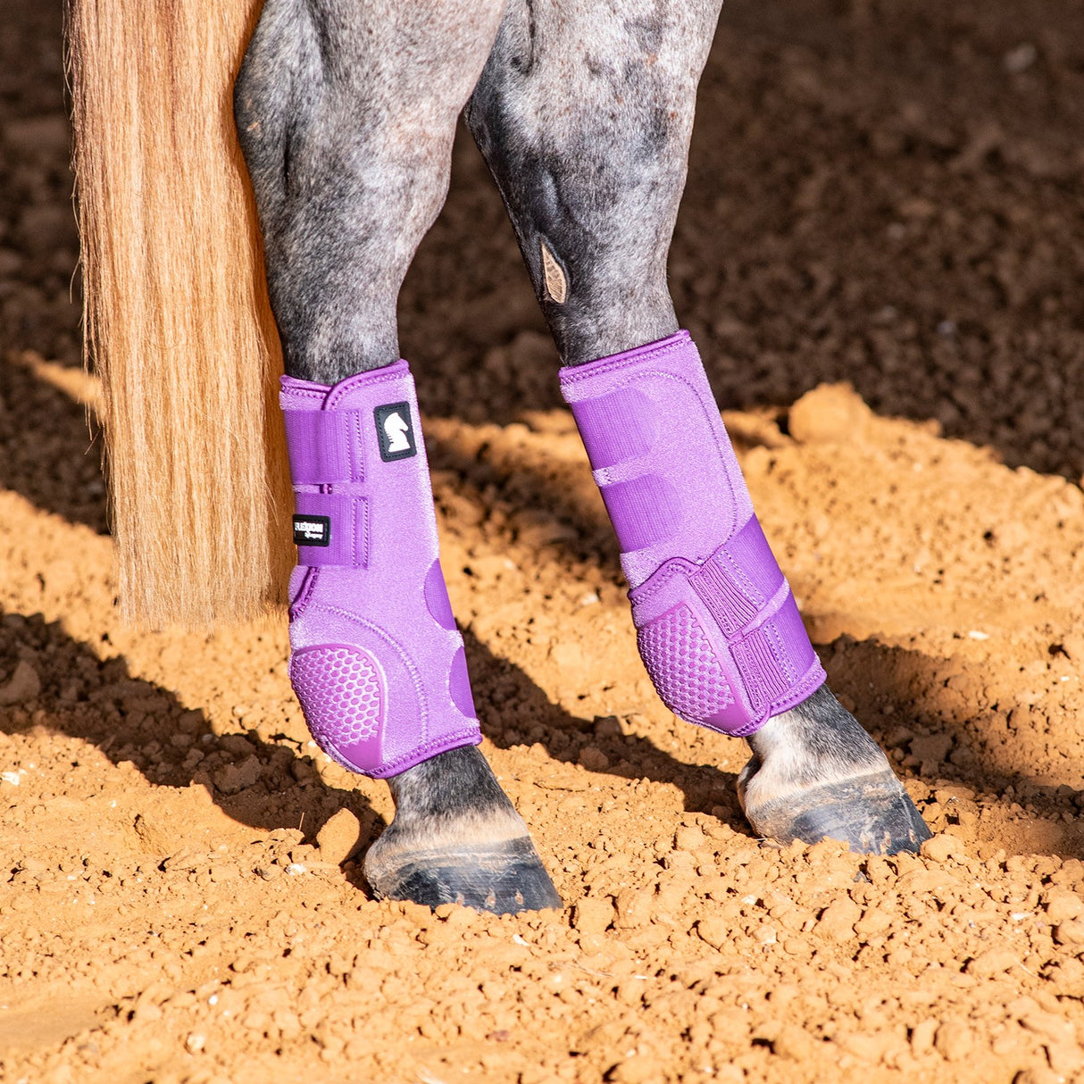 Classic Equine Flexion by Legacy Hind Protective Boots- Violet Purple