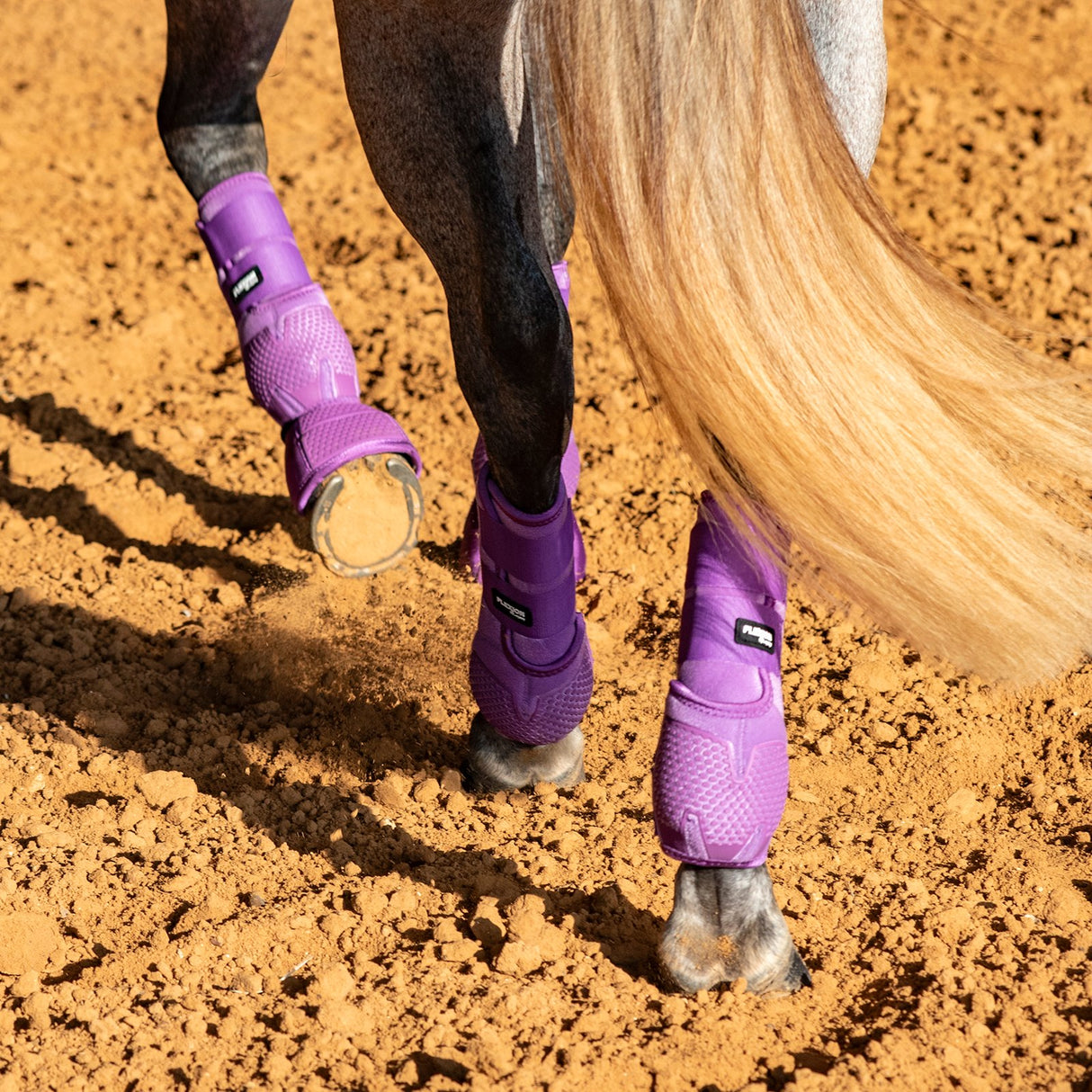 Classic Equine Flexion by Legacy Complete Package, Front, Hind, & Bell Boot Combo Pack- Violet Purple