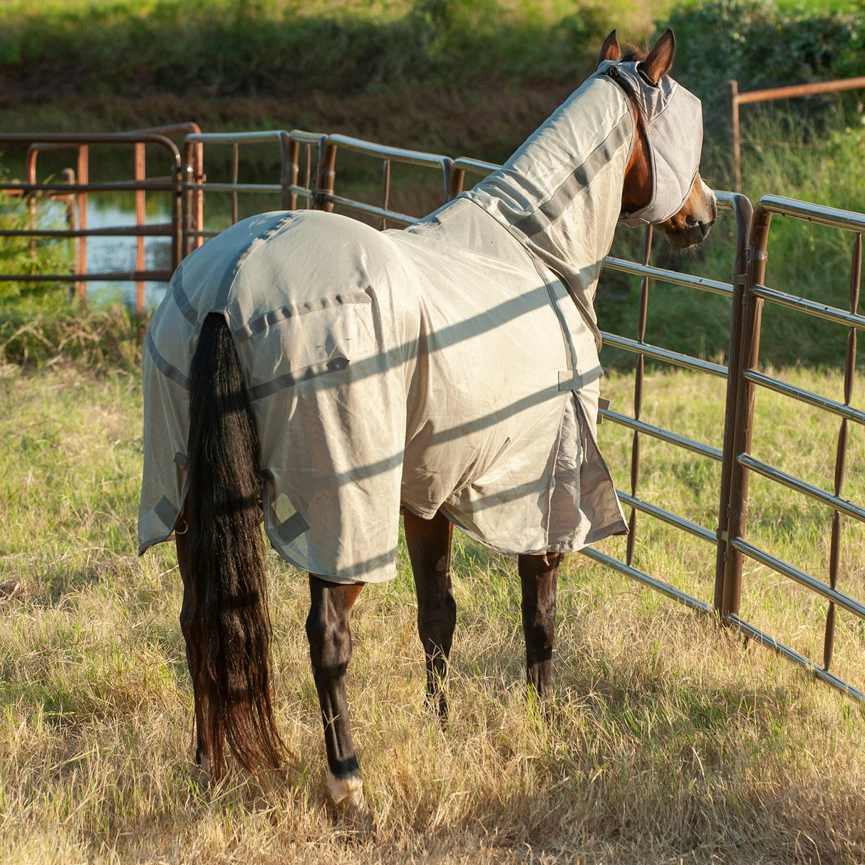 Cashel Econo Fly Sheet with Detachable Neck Guard