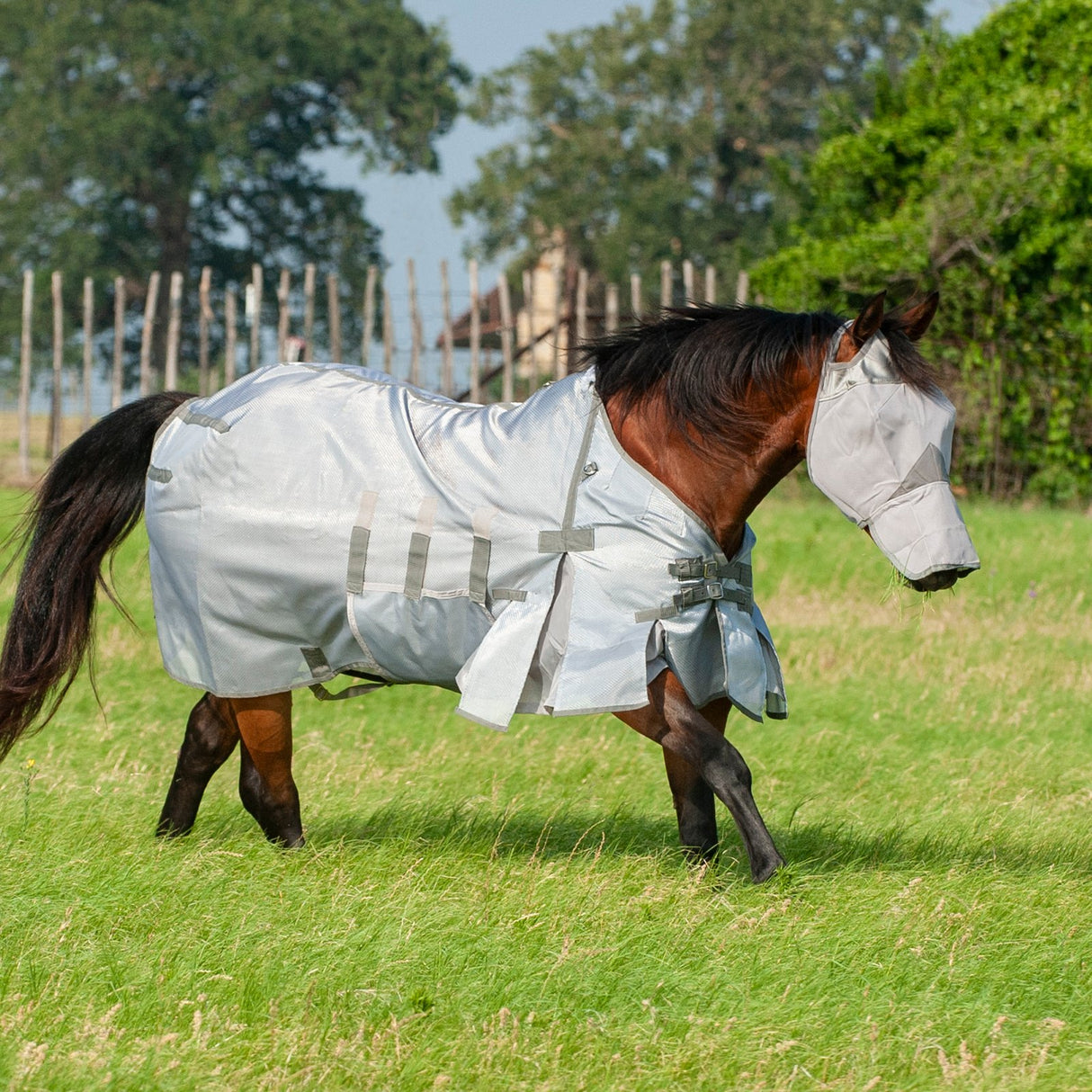 Cashel Lightweight Fly Sheet