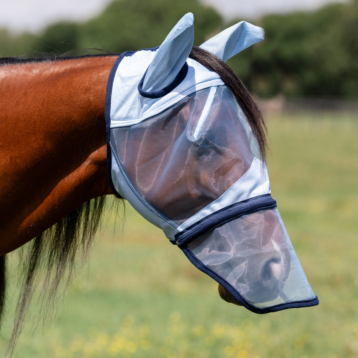 Professional's Choice Fly Screen Fly Mask with Nose Cover- Sky Blue