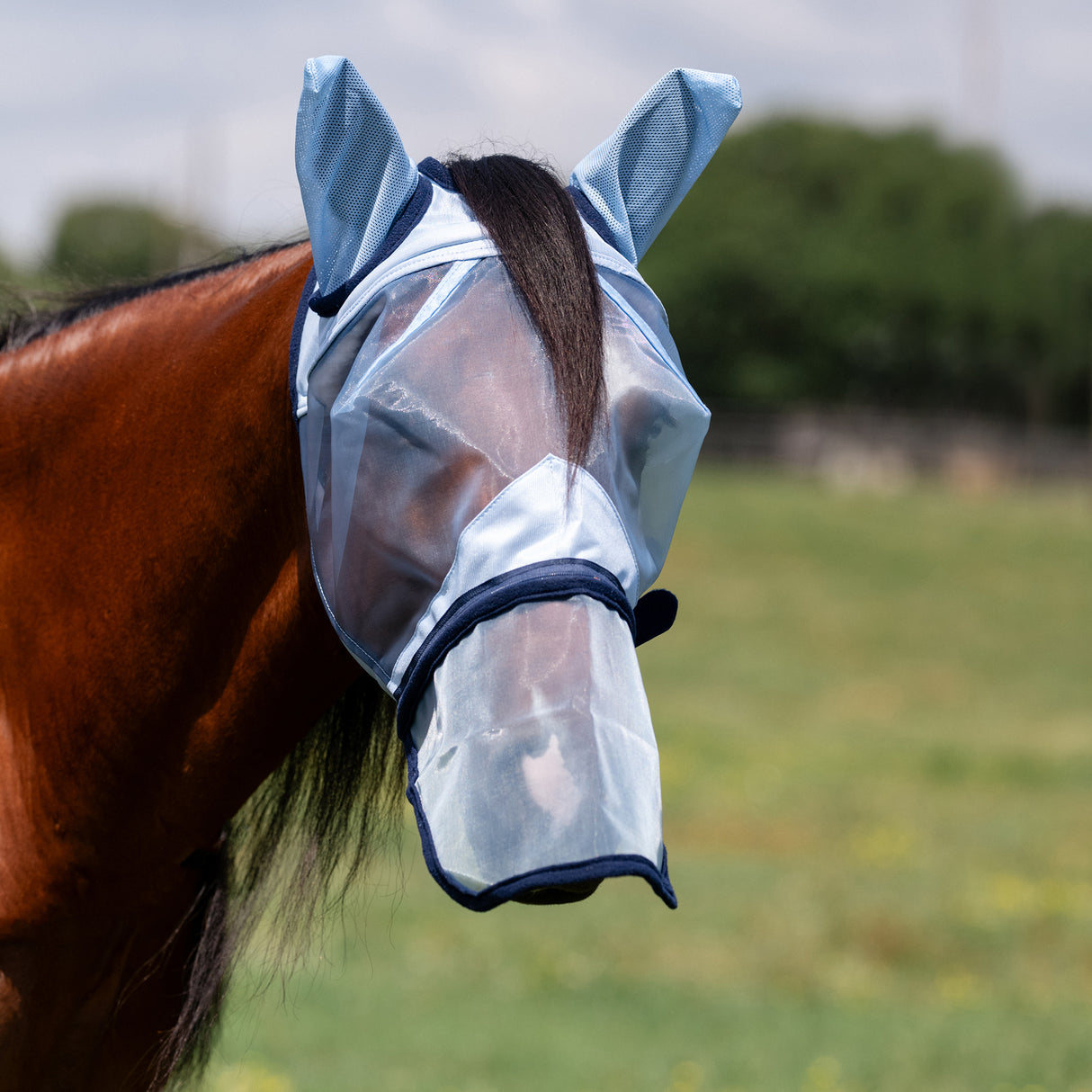 Professional's Choice Fly Screen Fly Mask with Nose Cover- Sky Blue
