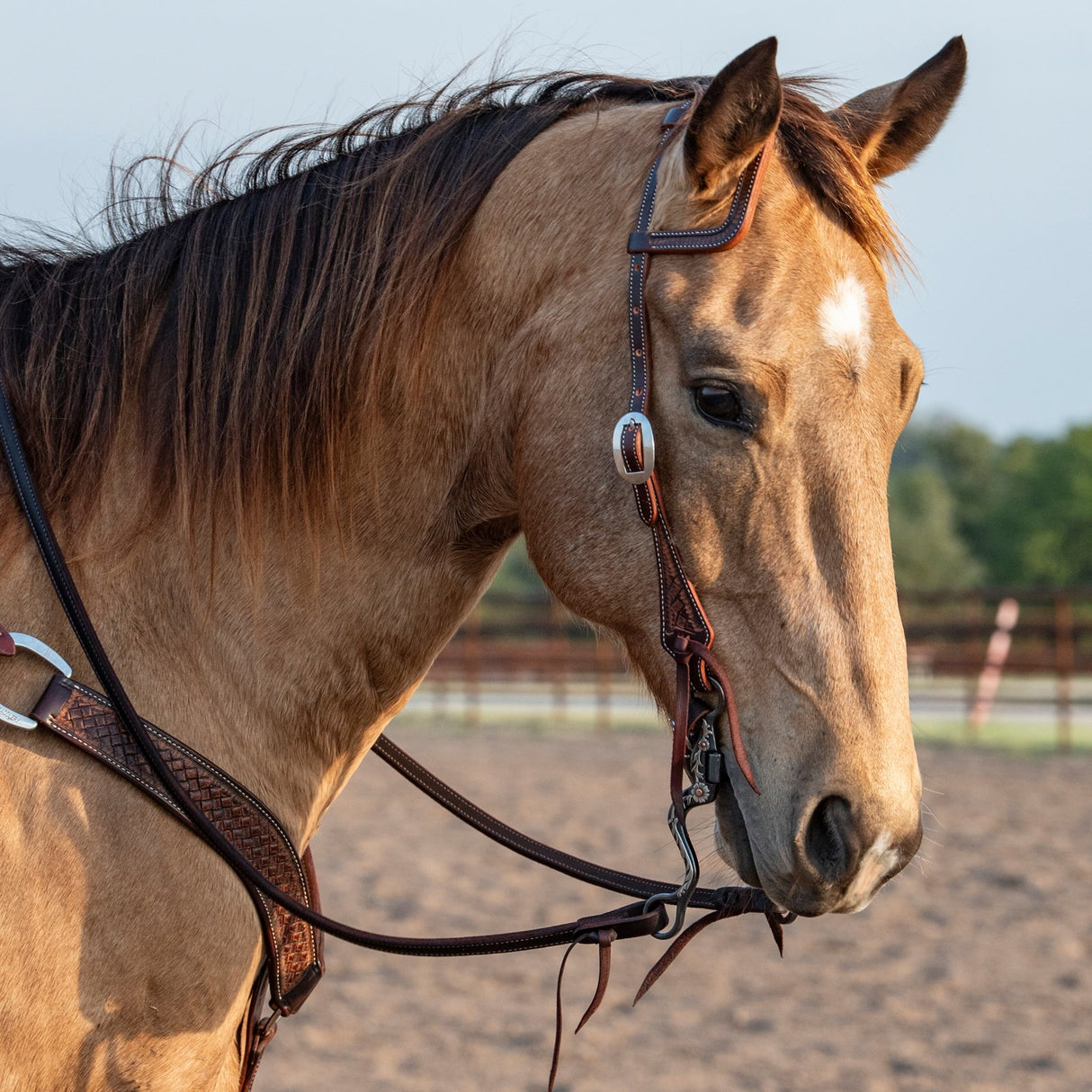 Martin Saddlery Weathered Antique Basket Stamped Slip Ear Headstall
