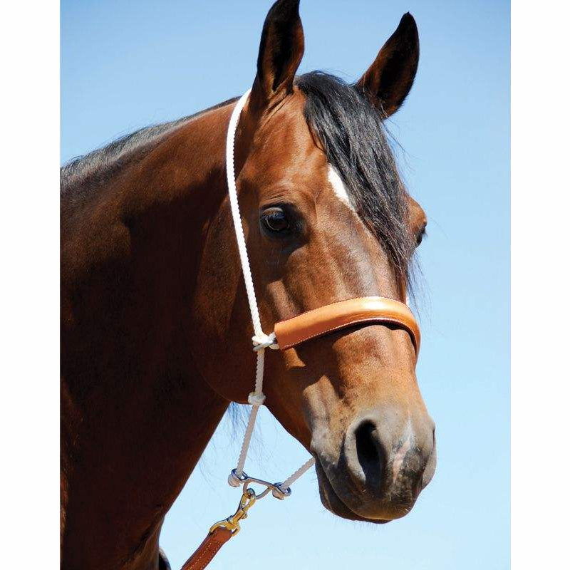 Martin Saddlery Head Setter with Leather Covered Rope Noseband