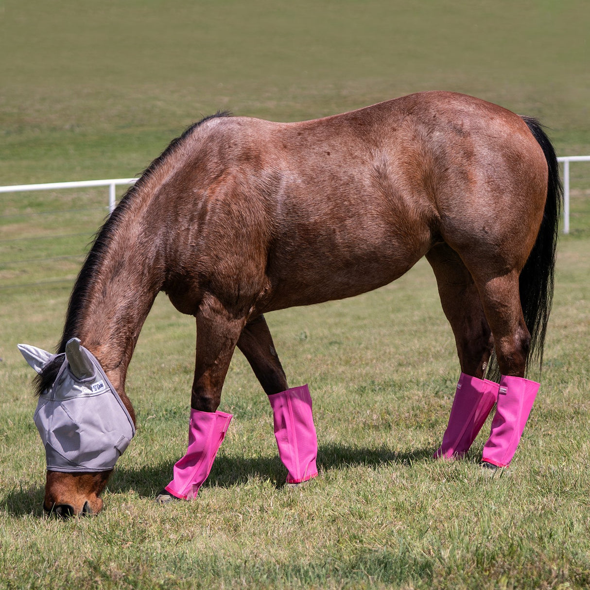 Cashel Crusader Pink Fly Leg Guards- Set of 4