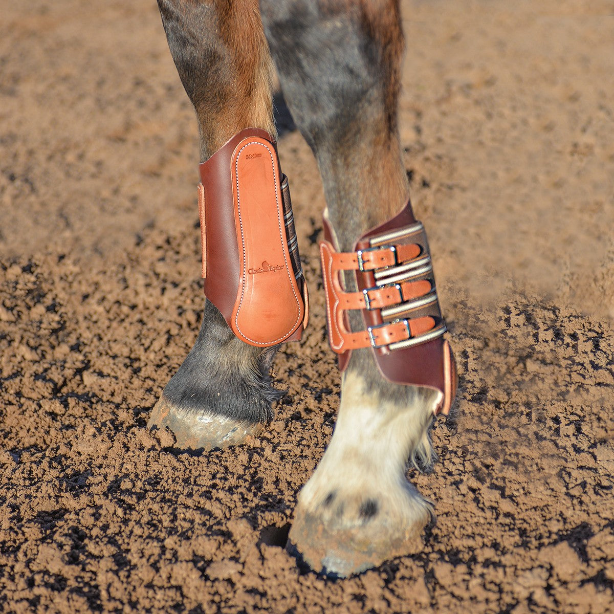 Classic Equine Leather Splint Boots With Buckles