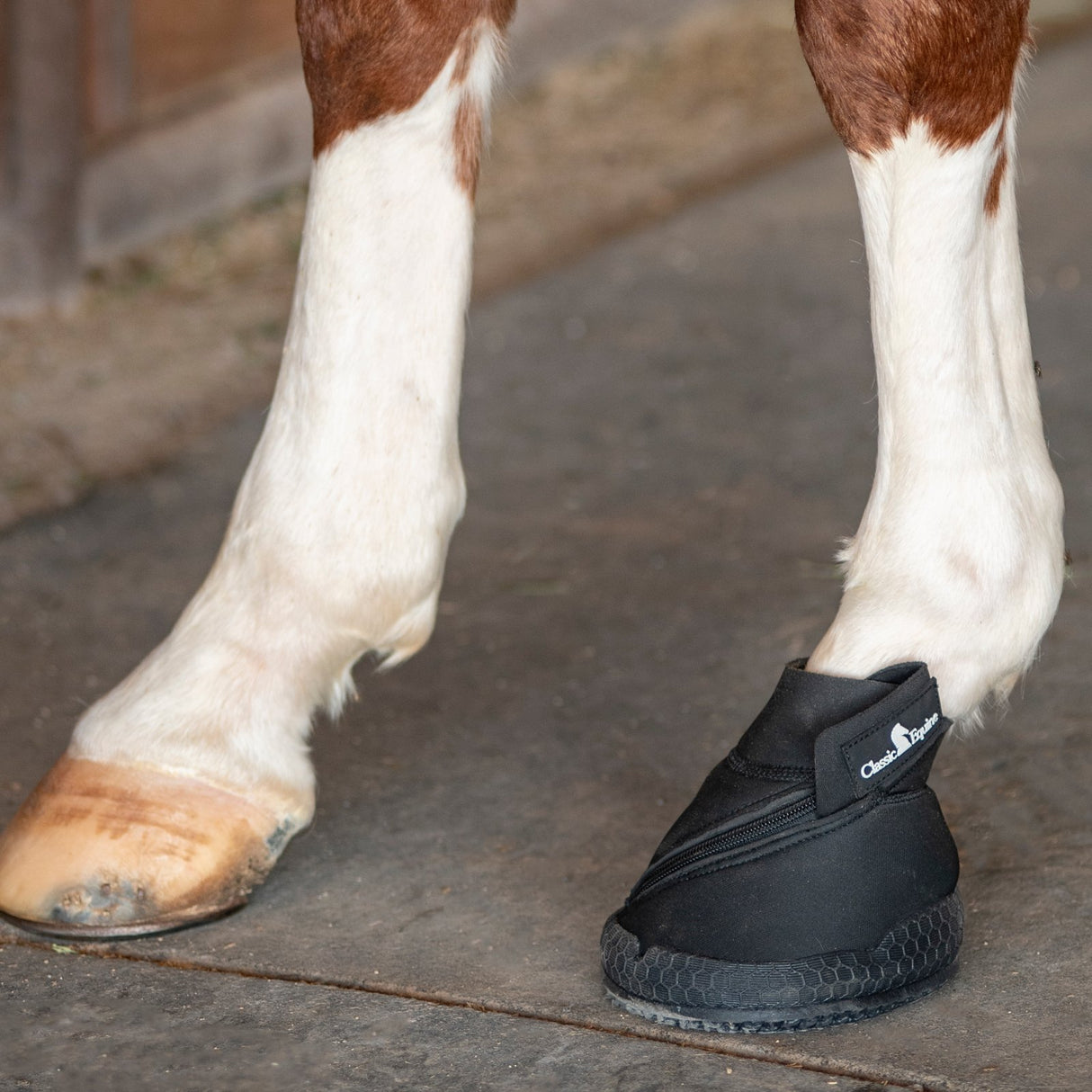 Classic Equine Medicine Hoof Boot