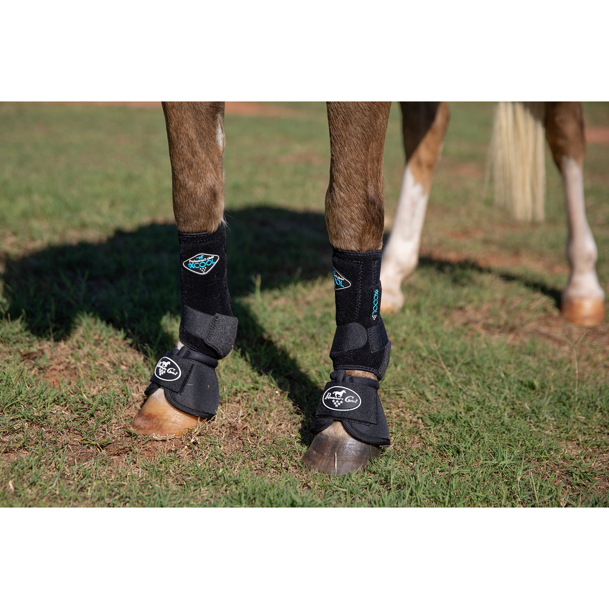 Professional's Choice Ballistic Overreach Pony Bell Boots- Black